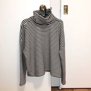 Everlane Turtleneck Sweatshirt